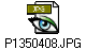 P1350408.JPG
