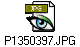 P1350397.JPG