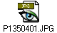 P1350401.JPG