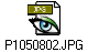 P1050802.JPG