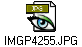 IMGP4255.JPG