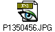 P1350456.JPG