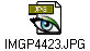 IMGP4423.JPG